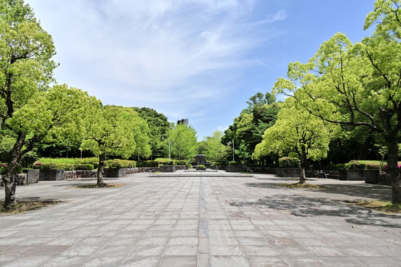 緑あふれる「福岡県営春日公園」が日常的な憩いのスポットに